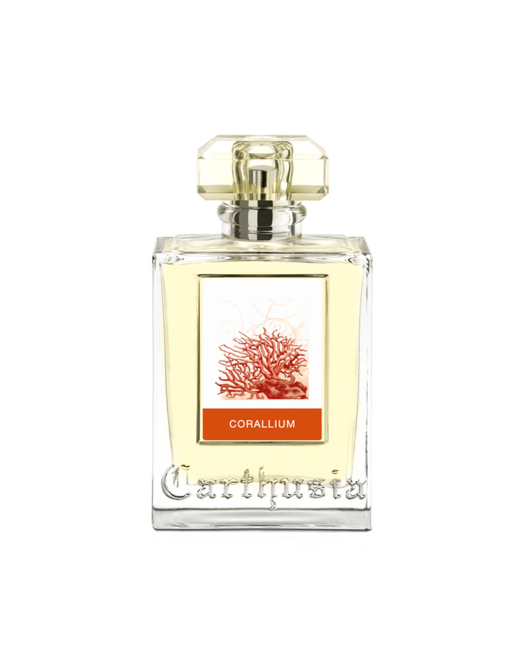 Perfume Corallium