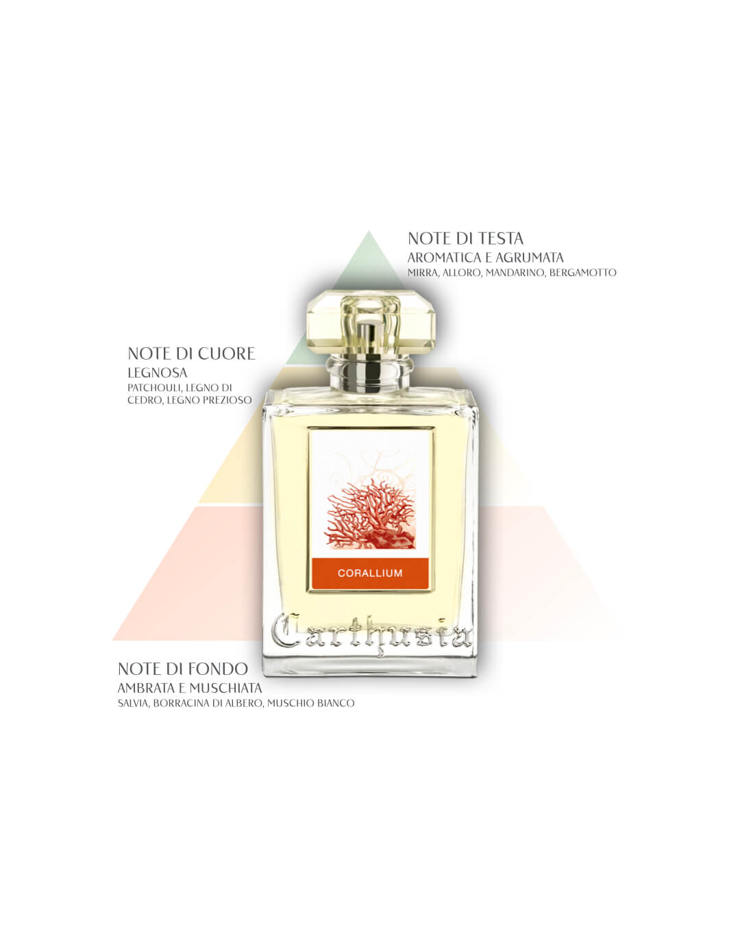 Perfume Corallium