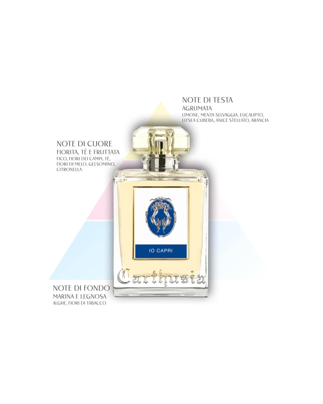 Perfume Io Capri