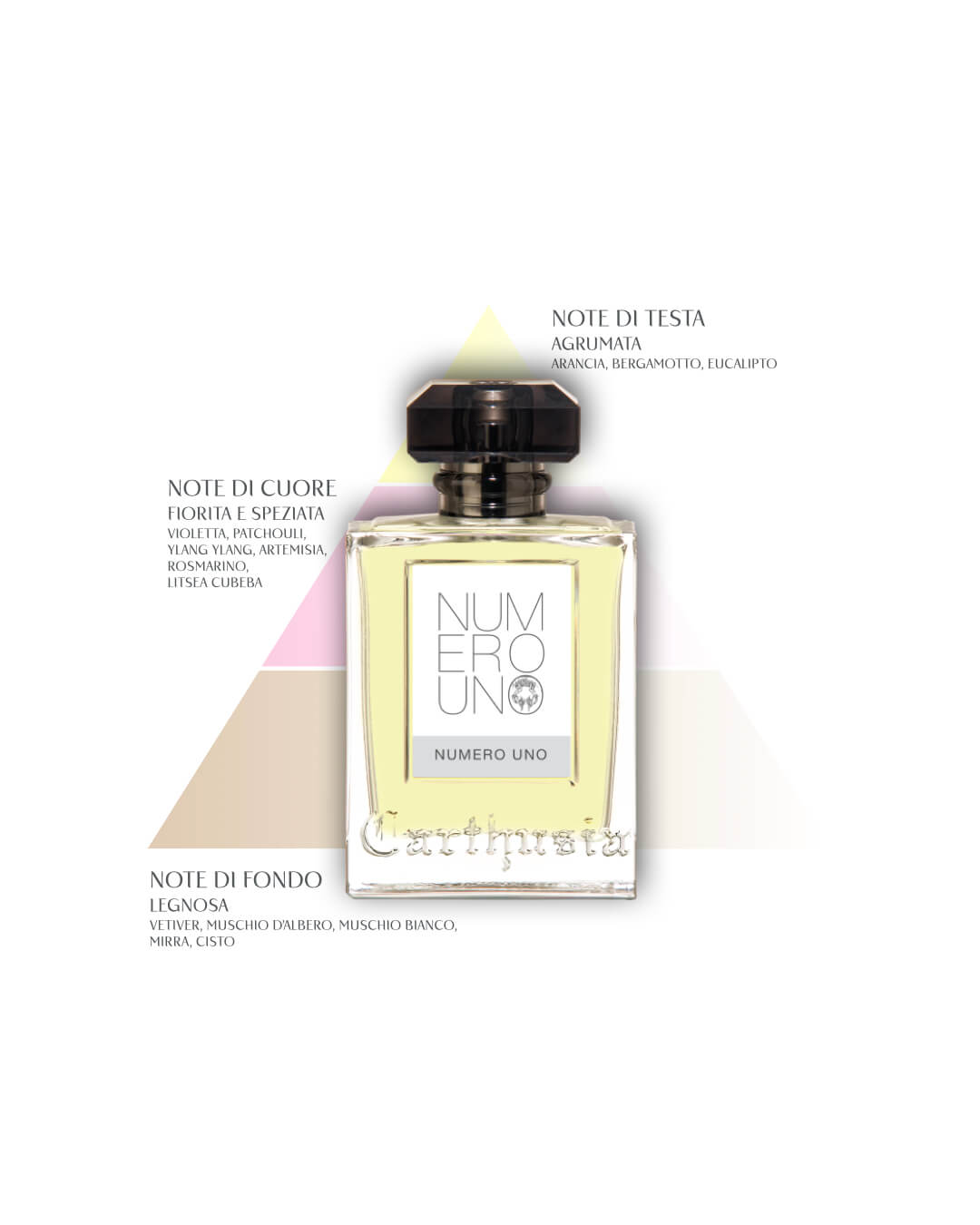 Perfume Numero Uno