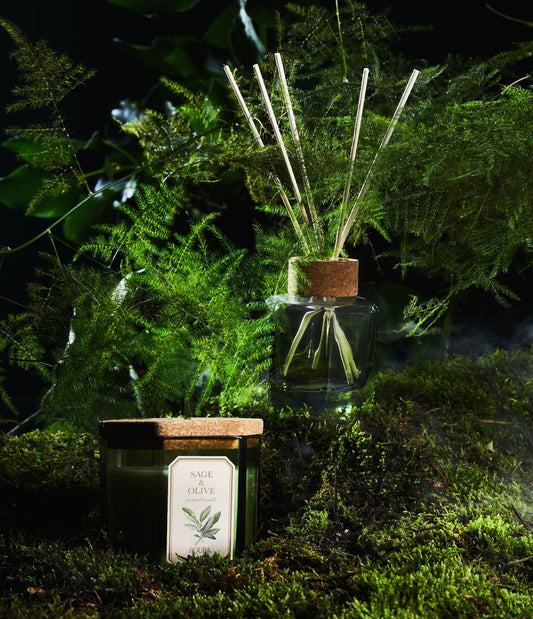 Vela Aromática, SAGE & OLIVE